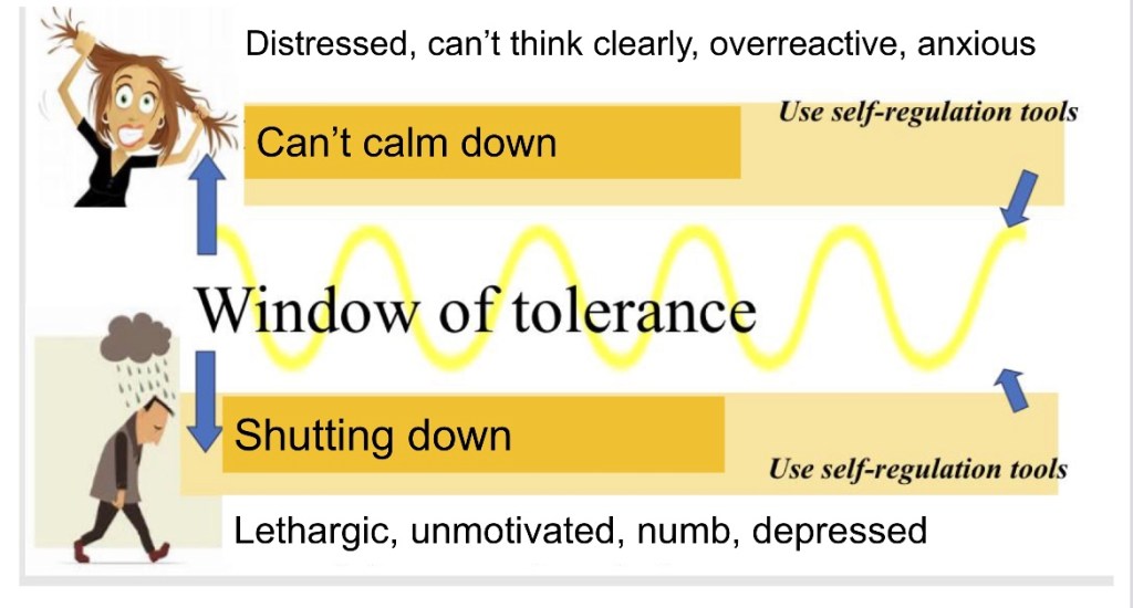 January 31, 2024 Healing Circle—Tone Your Nervous&nbsp;System